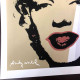 Andy Warhol Lithograph off set 50x50 cm certified