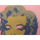 Andy Warhol Lithographie édition hors set 100 cm 57x38