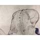 Egon Schiele Off set lithograph edition 200 cm 50x70