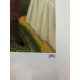 Fernando Botero Off set lithograph cm 50x65 certified