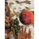 Frida Khalo Off set lithograph cm 50x70 certified