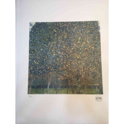 Gustav Klimt Litografia off set 50x70 cm certificat