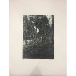 Pieter Cornelis Mondriaan Lithograph off set 50x65 cm certified