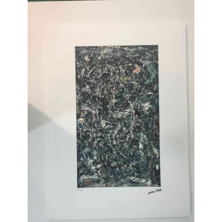 Jackson Pollock Lithografie off set 50x70 cm gecertificeerd