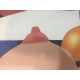 Tom Wesselmann Lithograph off set 50x70 cm certified