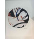 Tom Wesselmann Lithograph off set 50x70 cm certified