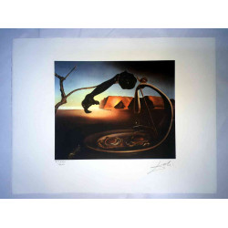 Litografia Salvador Dali off set 50x65 cm certificada