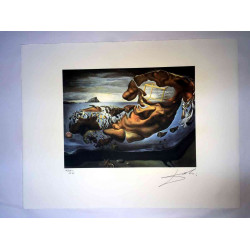 Salvador Dali Lithografie off set 50x65 cm gecertificeerd