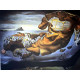 Salvador Dali Lithografie off set 50x65 cm gecertificeerd