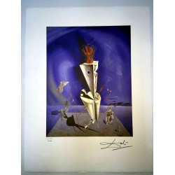 Salvador Dali Lithografie off set 50x65 cm gecertificeerd