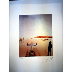 Salvador Dali Lithografie off set 50x65 cm gecertificeerd