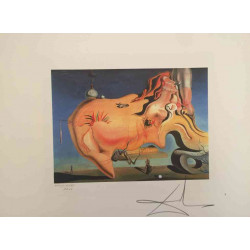 Litografía Salvador Dali off set 50x65 cm certificada