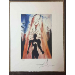 Salvador Dali Lithografie off set 50x65 cm gecertificeerd