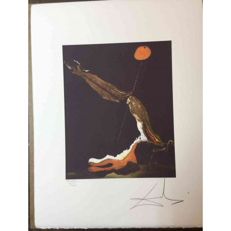 Conjunt de litografia de Salvador Dalí 50x65 cm certificat