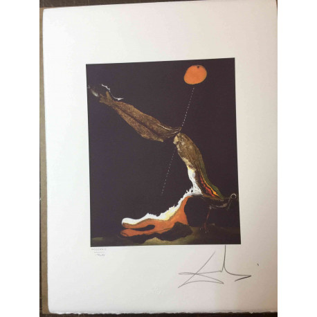 Salvador Dali Lithographie Offset 50x65 cm zertifiziert