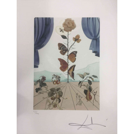 Salvador Dali Lithographie hors set 50x65 cm certifiée