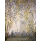 Claude Monet lithograph off set 50x70 cm