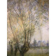 Claude Monet lithograph off set 50x70 cm