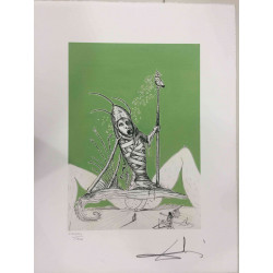 Litografická sada Salvador Dali s certifikací 50x65 cm