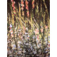 Claude Monet lithographie hors set 50x70 cm