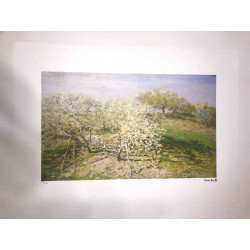 Claude Monet lithograph off set 50x70 cm