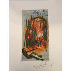 Salvador Dali Tarot series Off set lithograph cm 50x70 certified