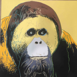 Andy Warhol Ronald Feldman Fine Art cm 96x96 Endangered Species