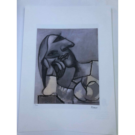 Picasso Lithograph off set 50x70 cm Museum edition