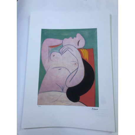 Picasso Lithograph off set 50x70 cm Museum edition