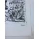 Picasso Lithograph off set 50x70 cm Museum edition