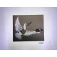 Banksy-lithografie off-set 50x35 cm handtekeningstempel POW-editie