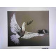 Banksy-lithografie off-set 50x35 cm handtekeningstempel POW-editie