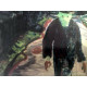 Edvard Munch lithograph off set 50x70 cm